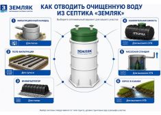 Зорде Рейн 7 Лонг